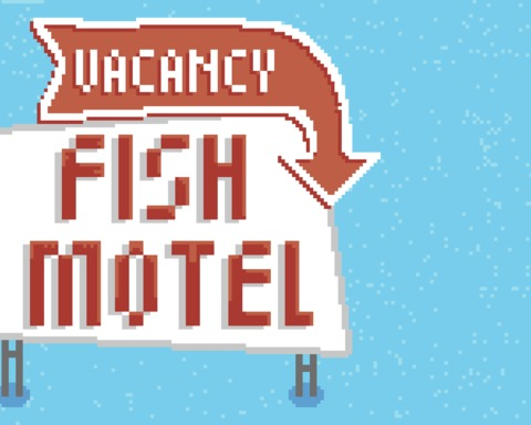 Fish Motel