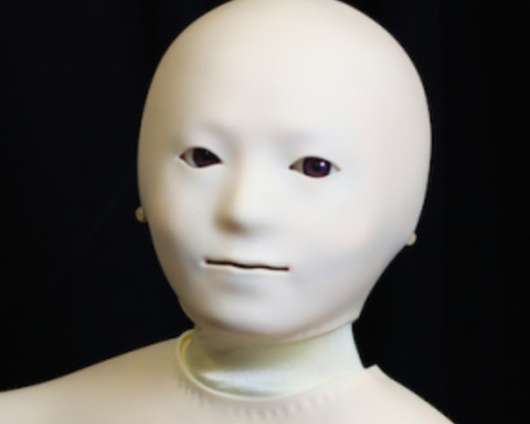 Bruhtangle