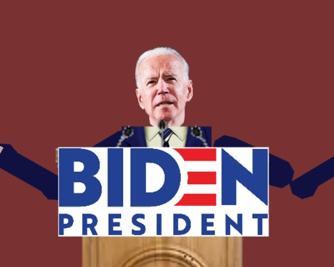 Joe Biden Campaign Simulator