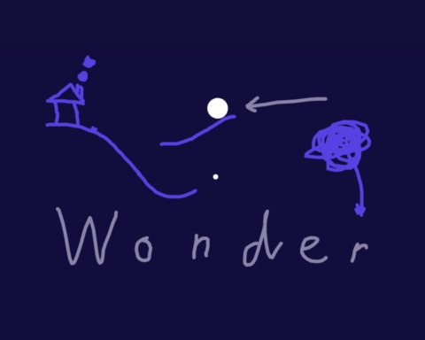Wonder