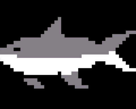 Shark
