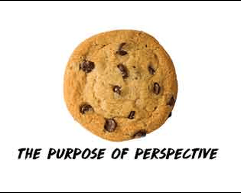 The Purpose of Perspective