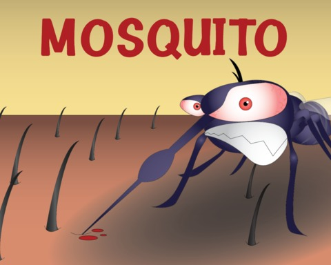 Mosquito