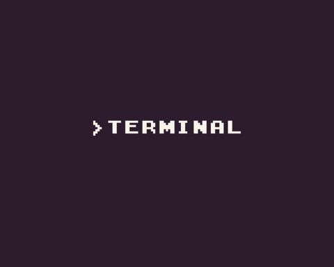 Terminal