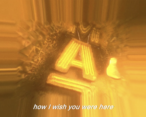 wish you were here