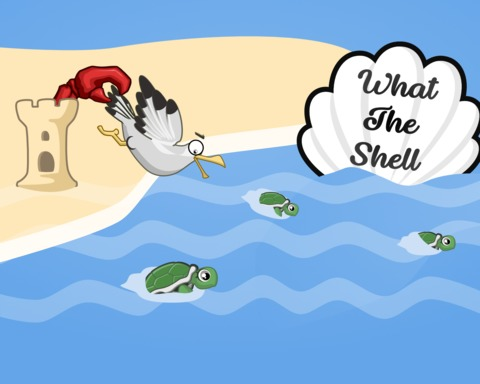 What the Shell
