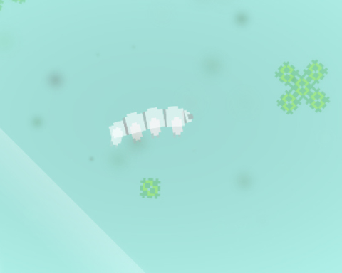 Water Bear World