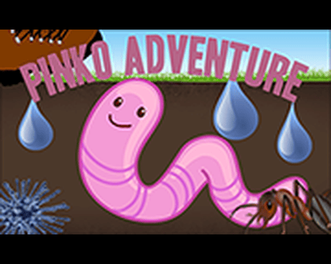 PINKO ADVENTURE!