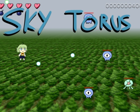 Sky Torus