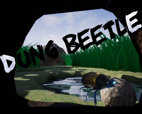 Dung Beetle