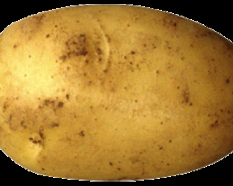 Potato Loop