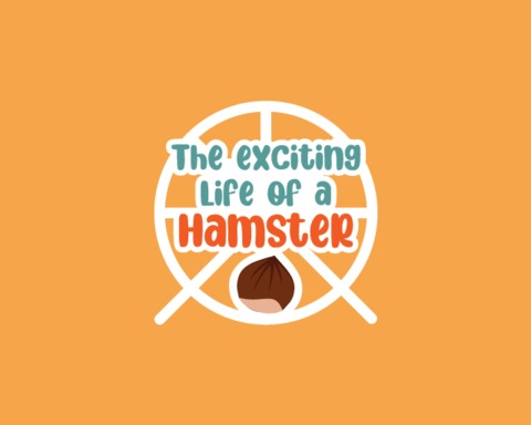 The exciting life of a hamster