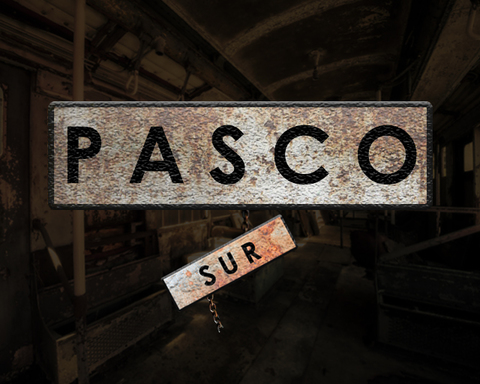 Pasco Sur