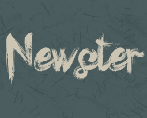 Newster - A Fantasy Social Media Sim