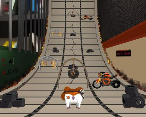 Mad Wheel : Furry Maxster