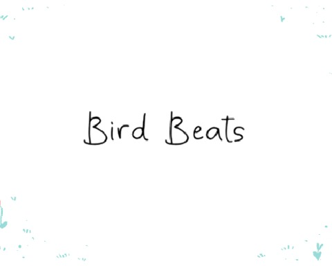 Bird Beats