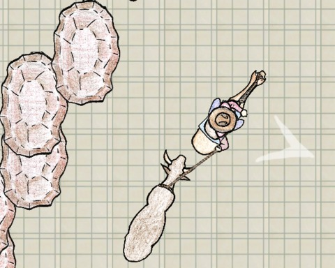 Lasso'em up!