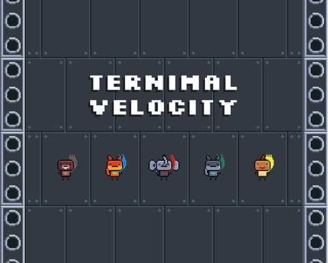 Ternimal Velocity
