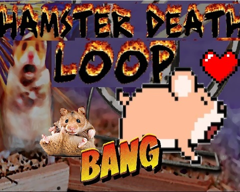 Hamster Death Loop