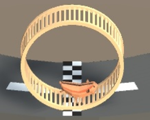 Hamster Survival Racing