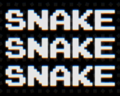SNAKE SNAKE SNAKE