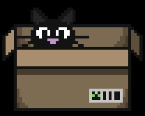 Untitled cat unboxing