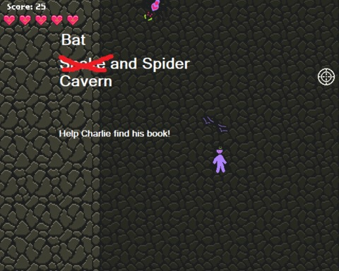 Bat and Spider Cavern