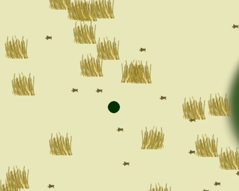 Forest Adventure