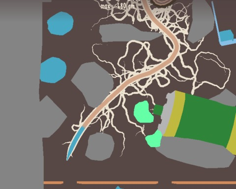 ROOTS