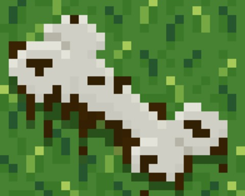Where did I Bury It?