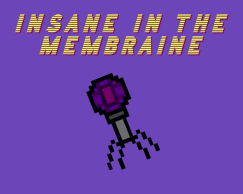 Insane in the Membraine