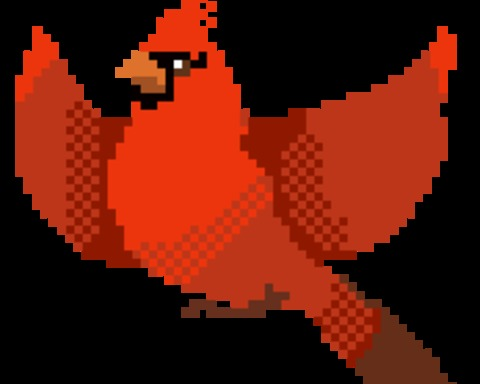birb