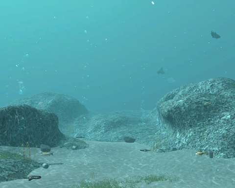 The Deepest Point in the World