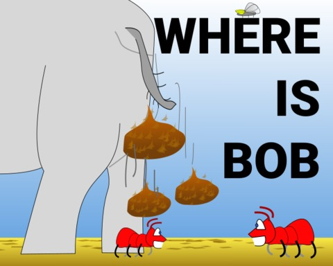 Where is Bob