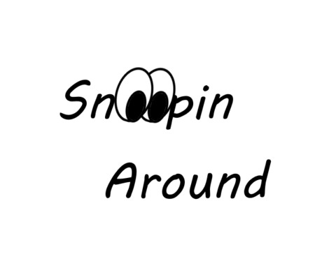 Snoopin Around