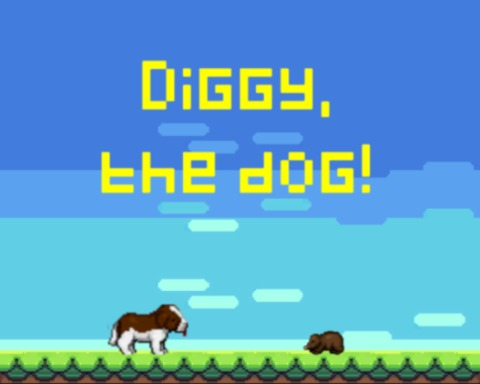 Diggy, the dog!