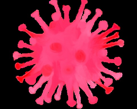 Race to Life