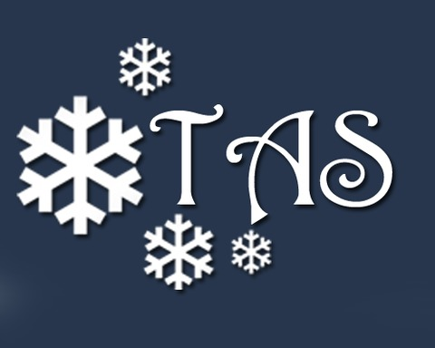 Timmy and the Snowflake
