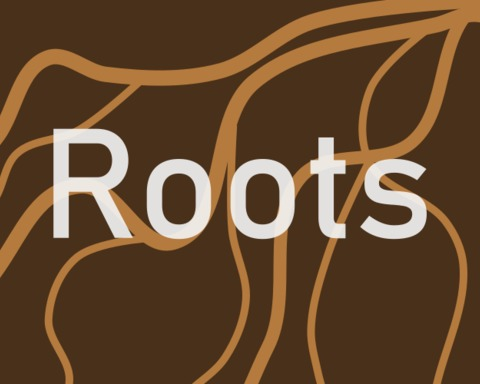 Roots game