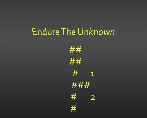 Endure The Unknown
