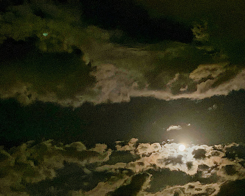 The Fault