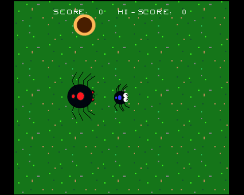 Spiders!