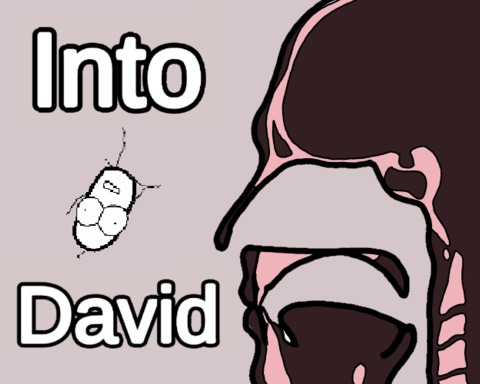 Into David
