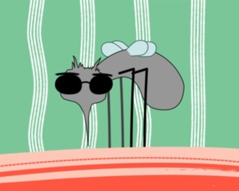Mosquito Simulator 2k21