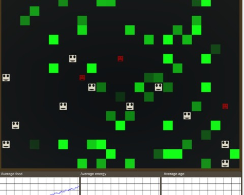 The Evolution Game