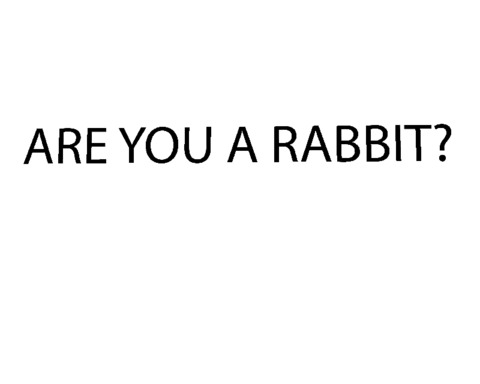 The Rabbit Hole
