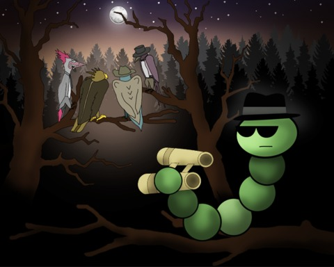 Birdy adventures of Sherlock Worm