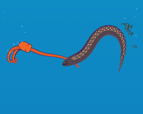 Octopus Dive