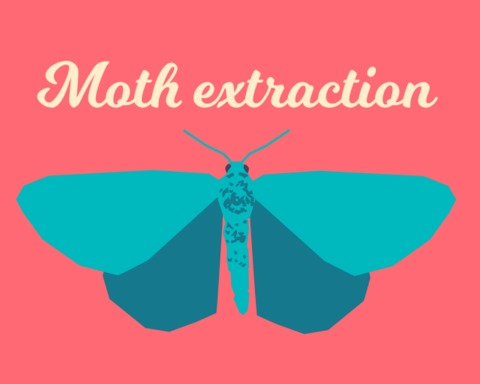 Moth extraction