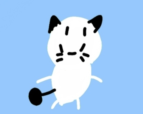 Cat.Cloukin